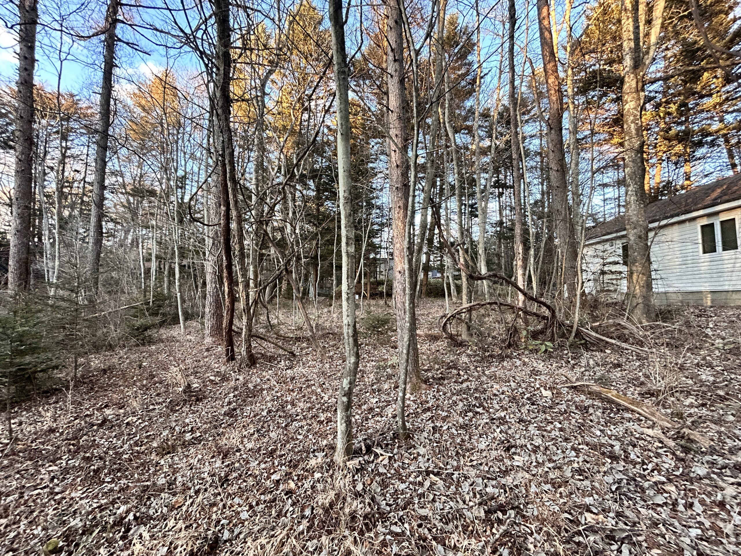 南ヶ丘 南原通り西　229坪の土地