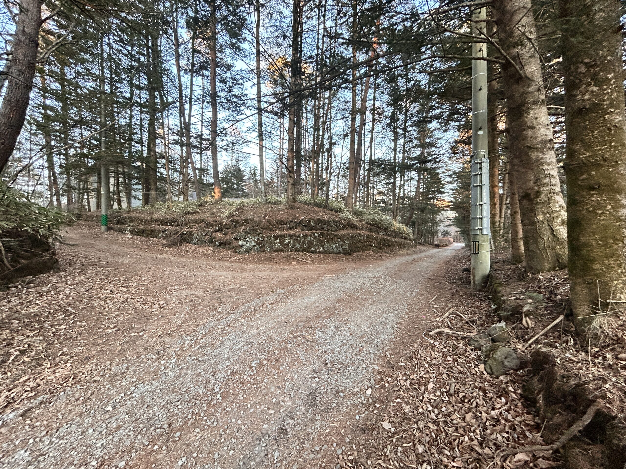 南ヶ丘 南原通り西　229坪の土地