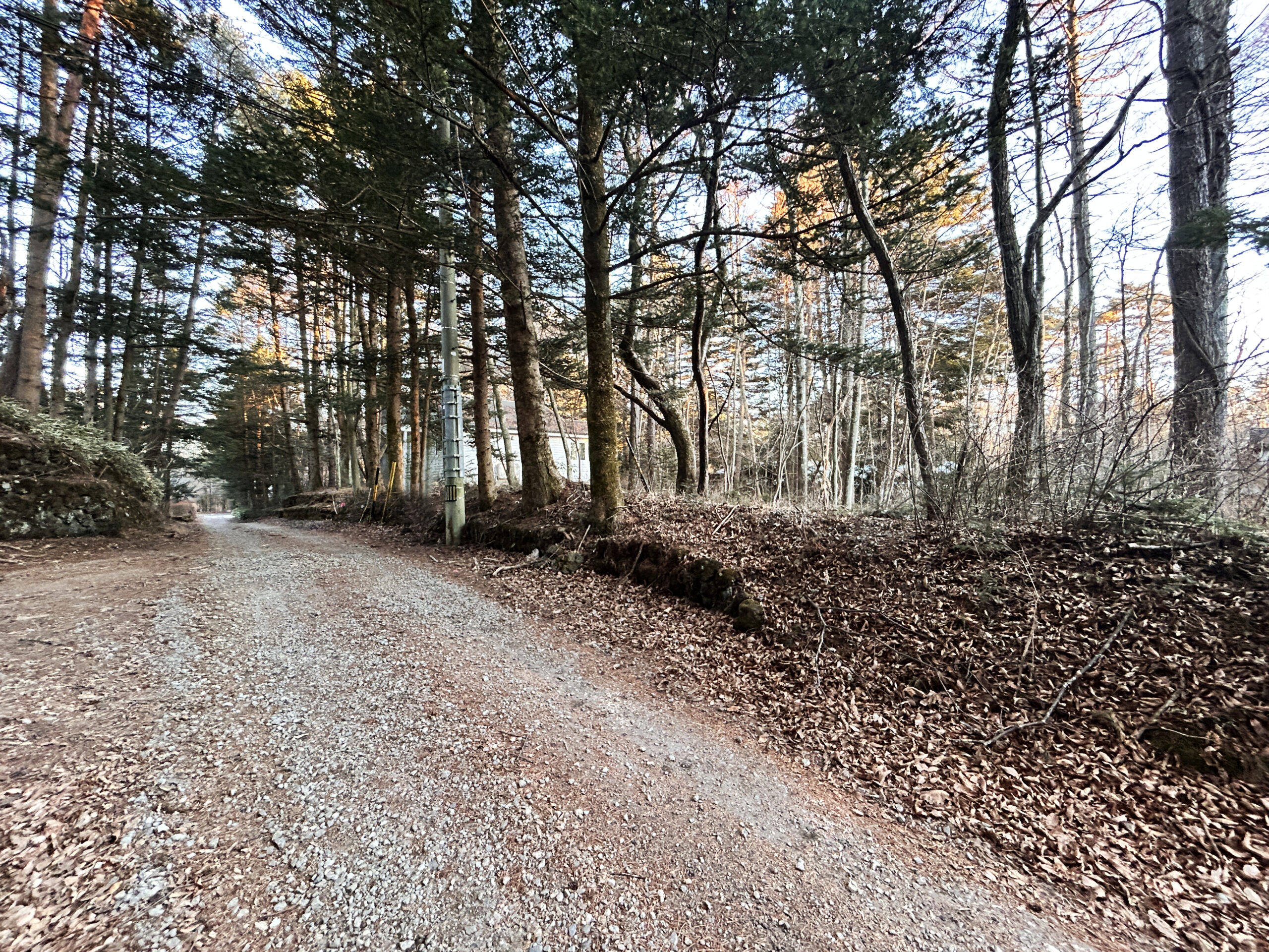 南ヶ丘 南原通り西　229坪の土地