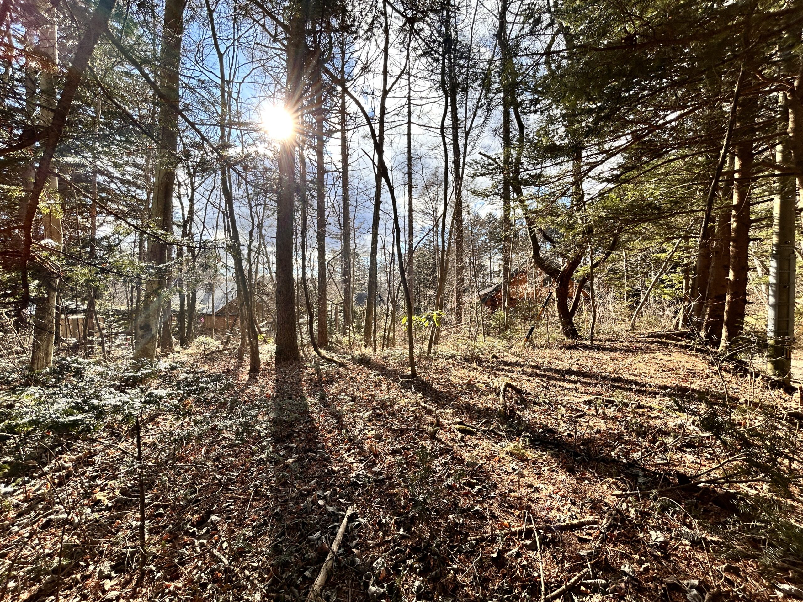 南ヶ丘 南原通り西　229坪の土地