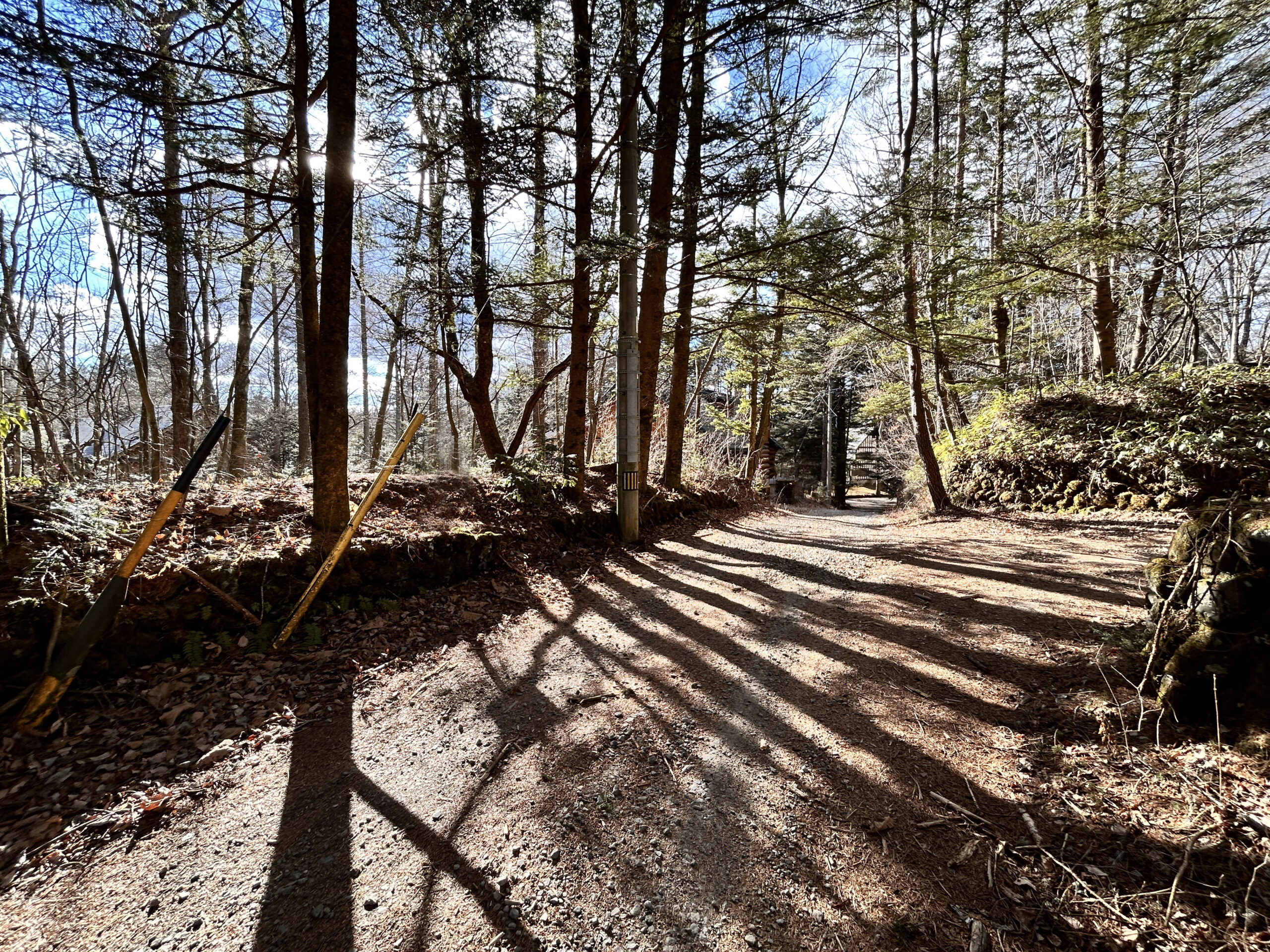 南ヶ丘 南原通り西　229坪の土地