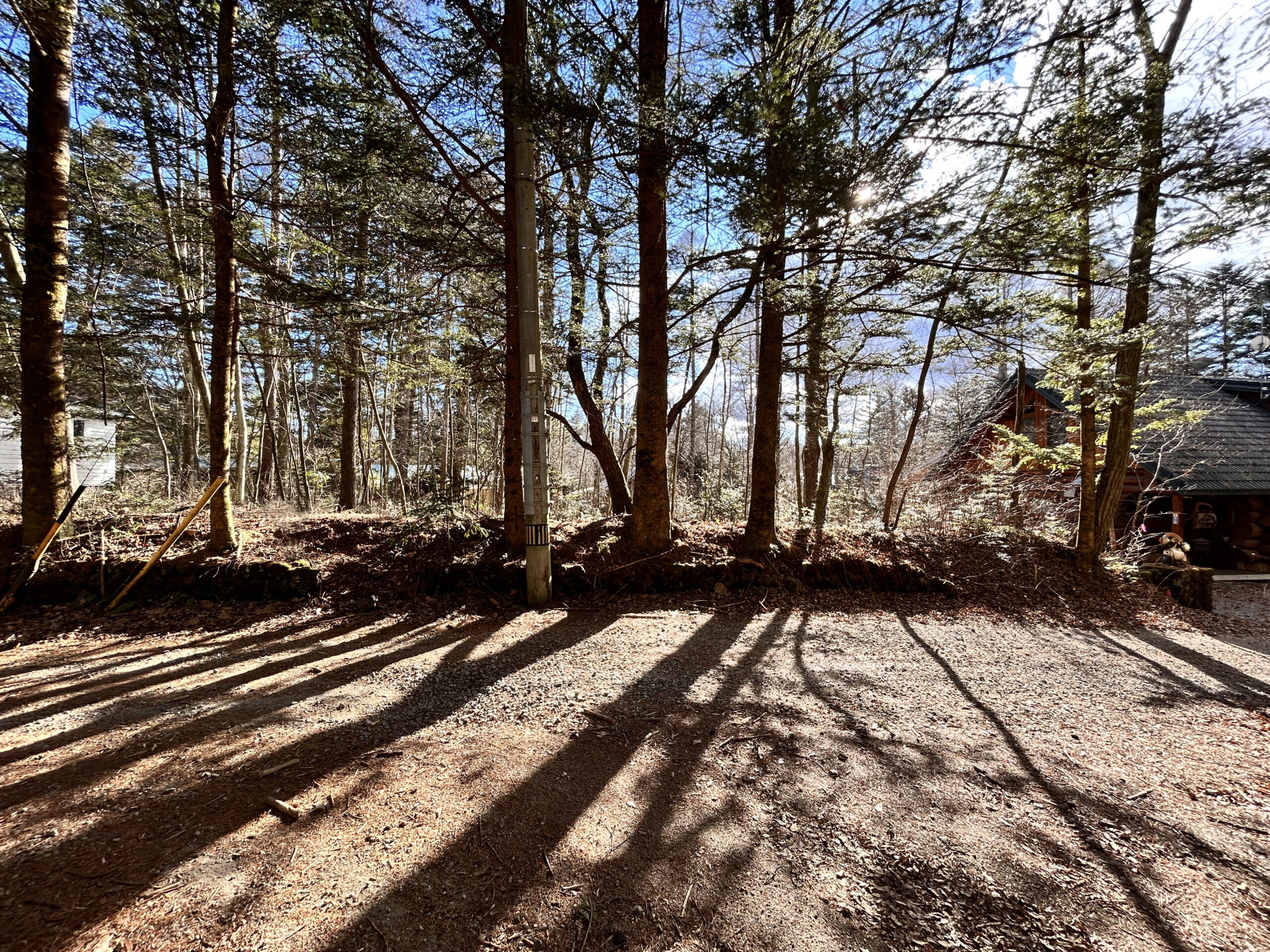 南ヶ丘 南原通り西　229坪の土地