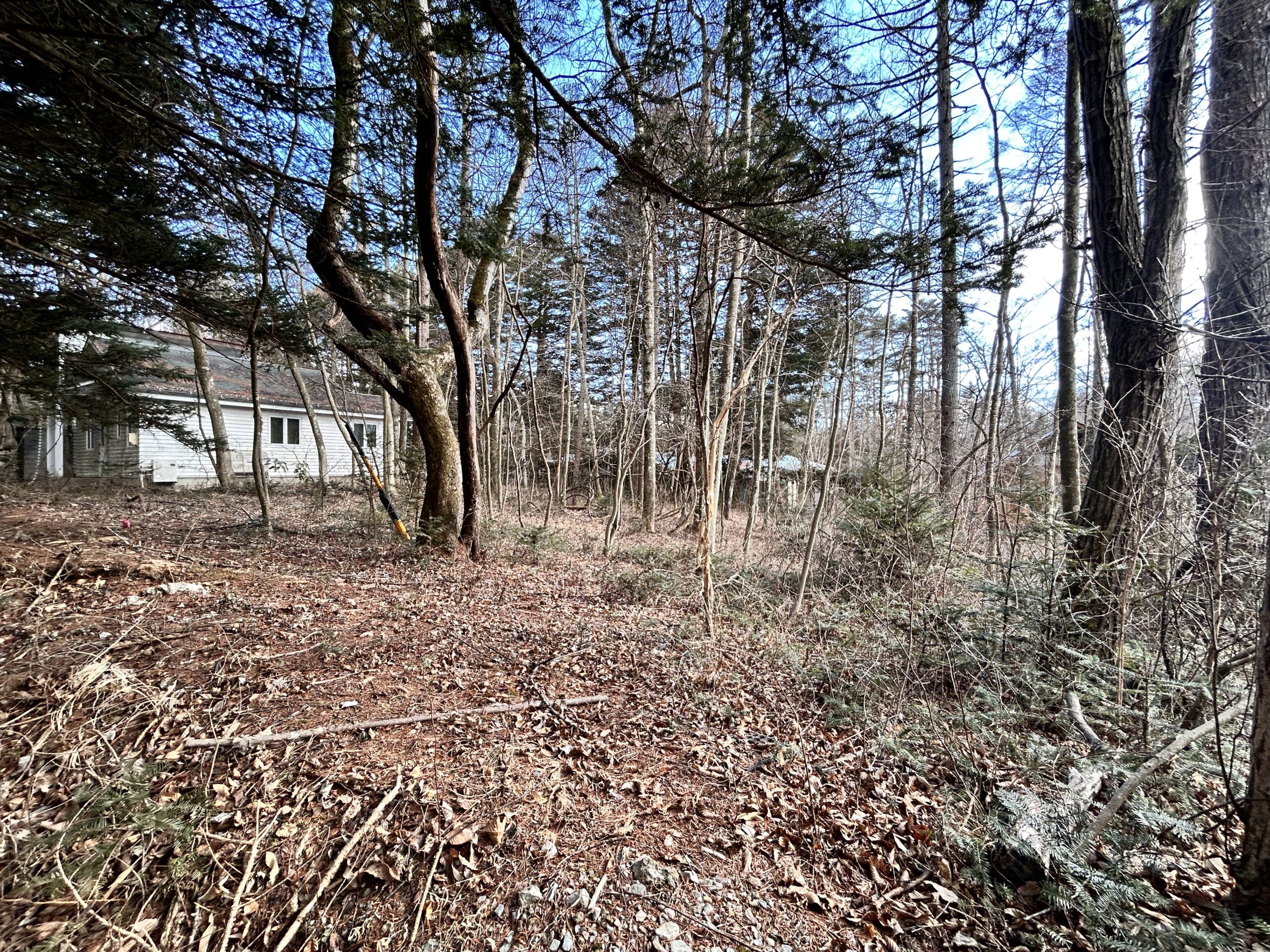 南ヶ丘 南原通り西　229坪の土地