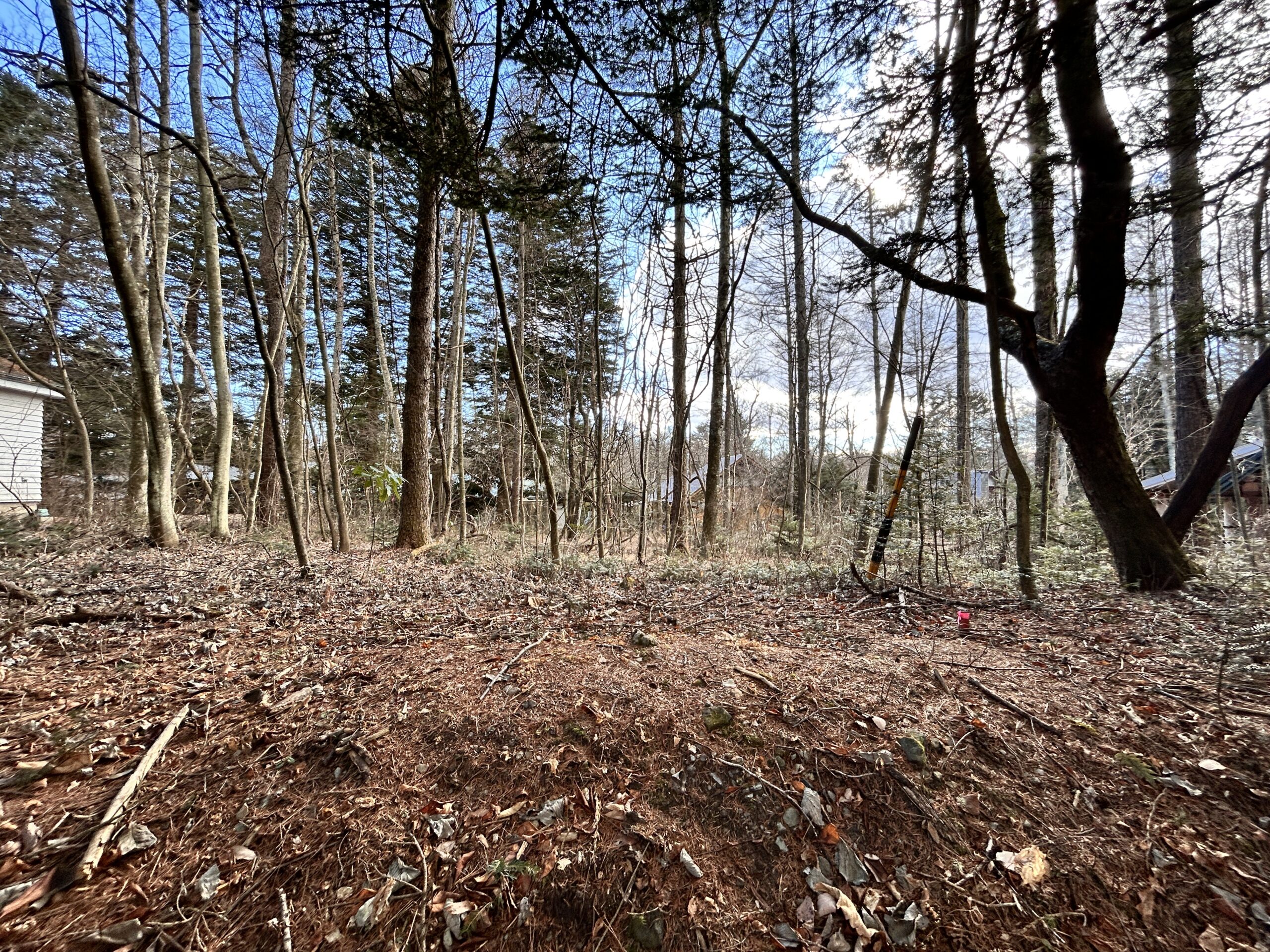 南ヶ丘 南原通り西　229坪の土地