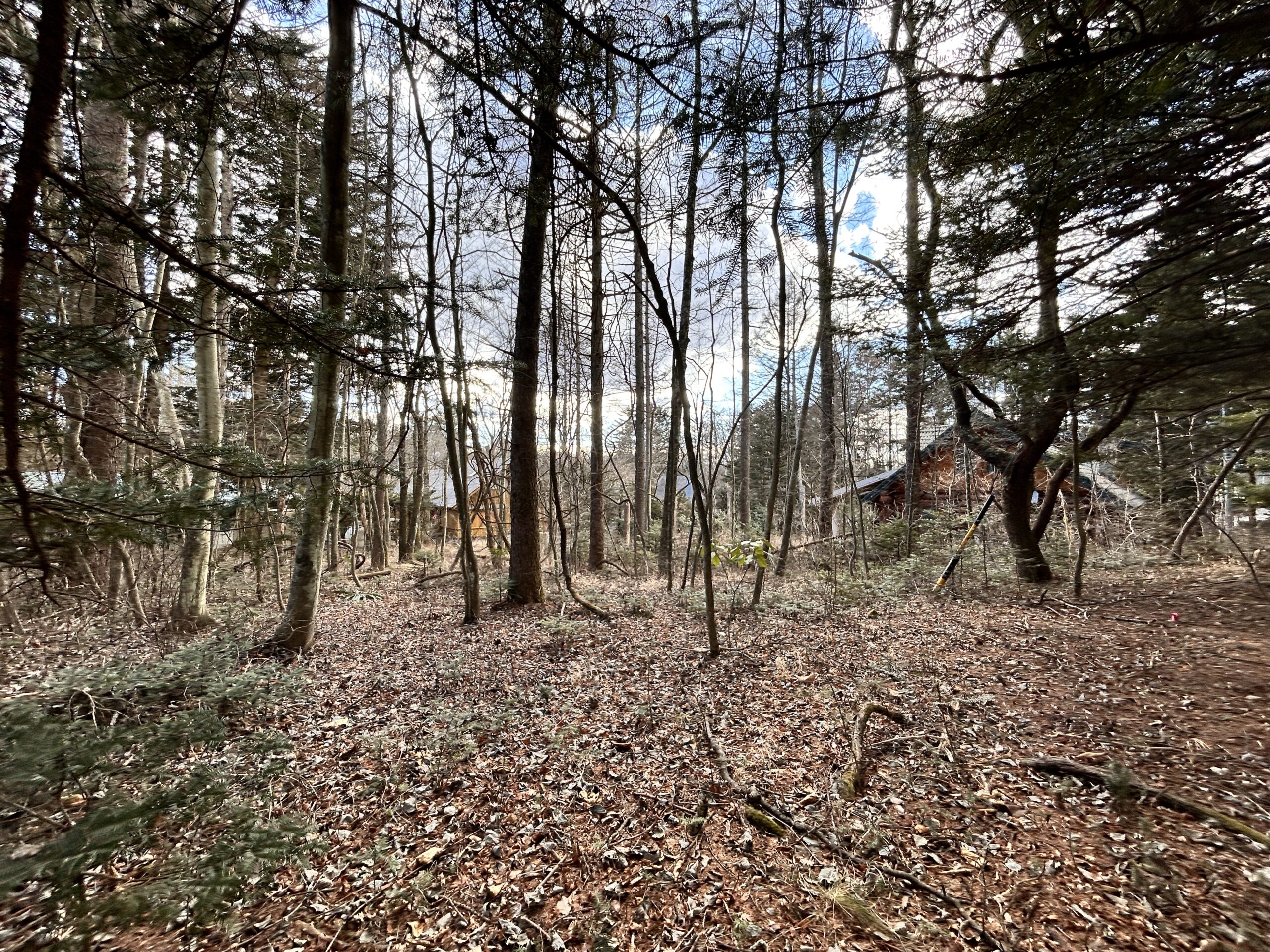 南ヶ丘 南原通り西　229坪の土地