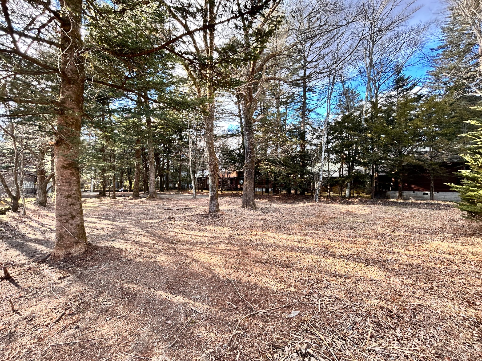 【商談中】鹿島の森　400坪の土地