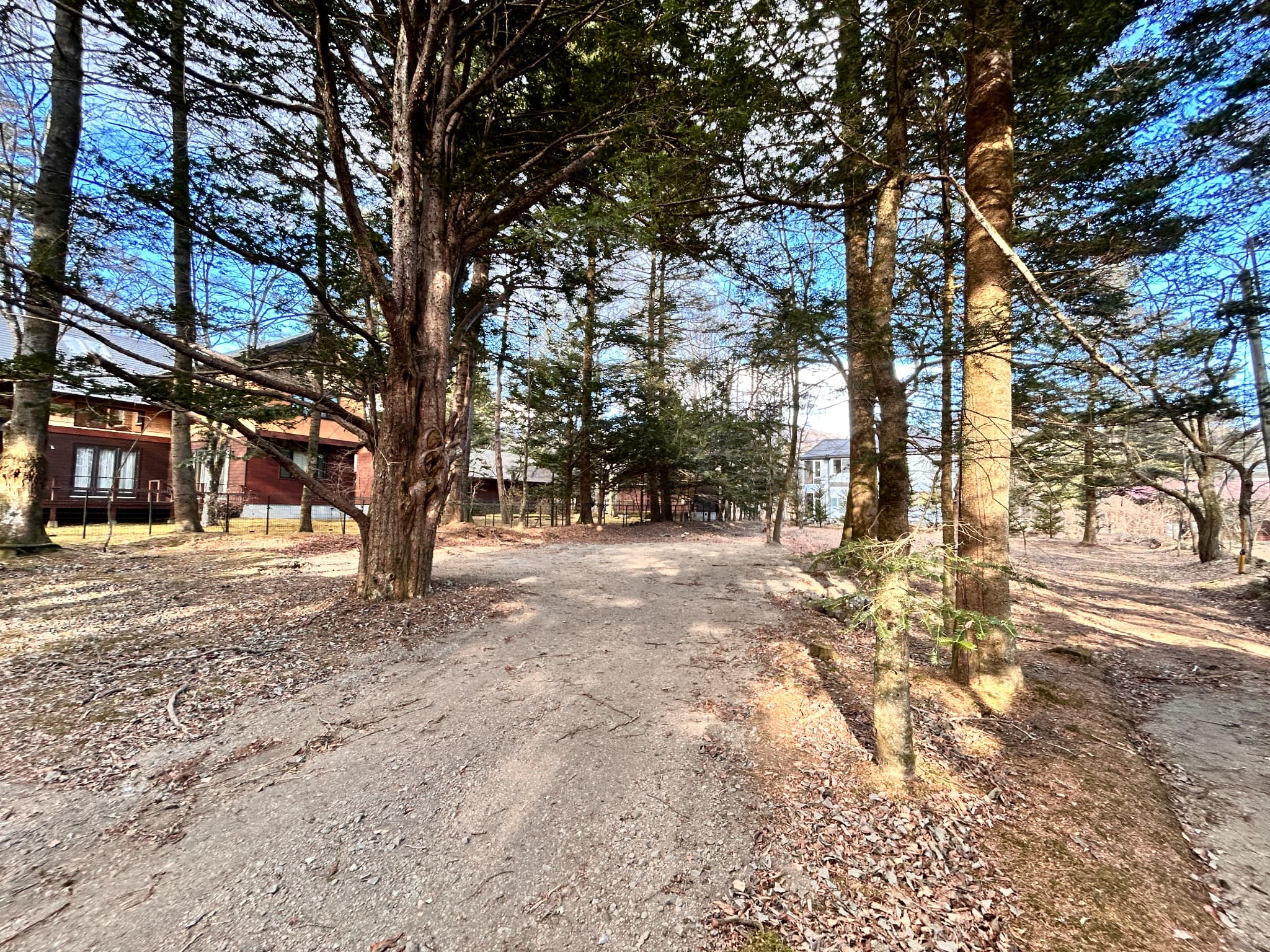 【商談中】鹿島の森　400坪の土地