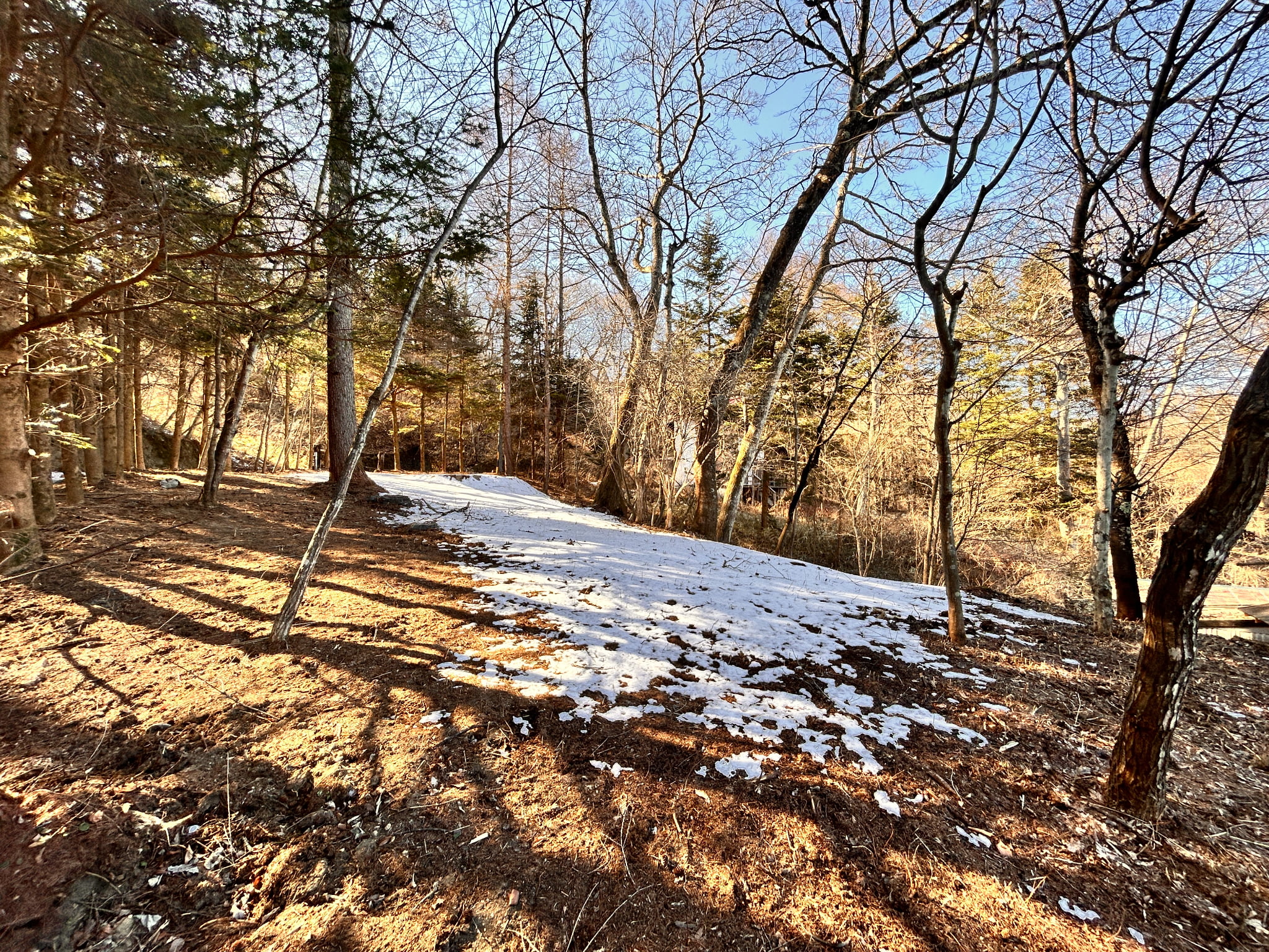 千ヶ滝西区 177坪の土地