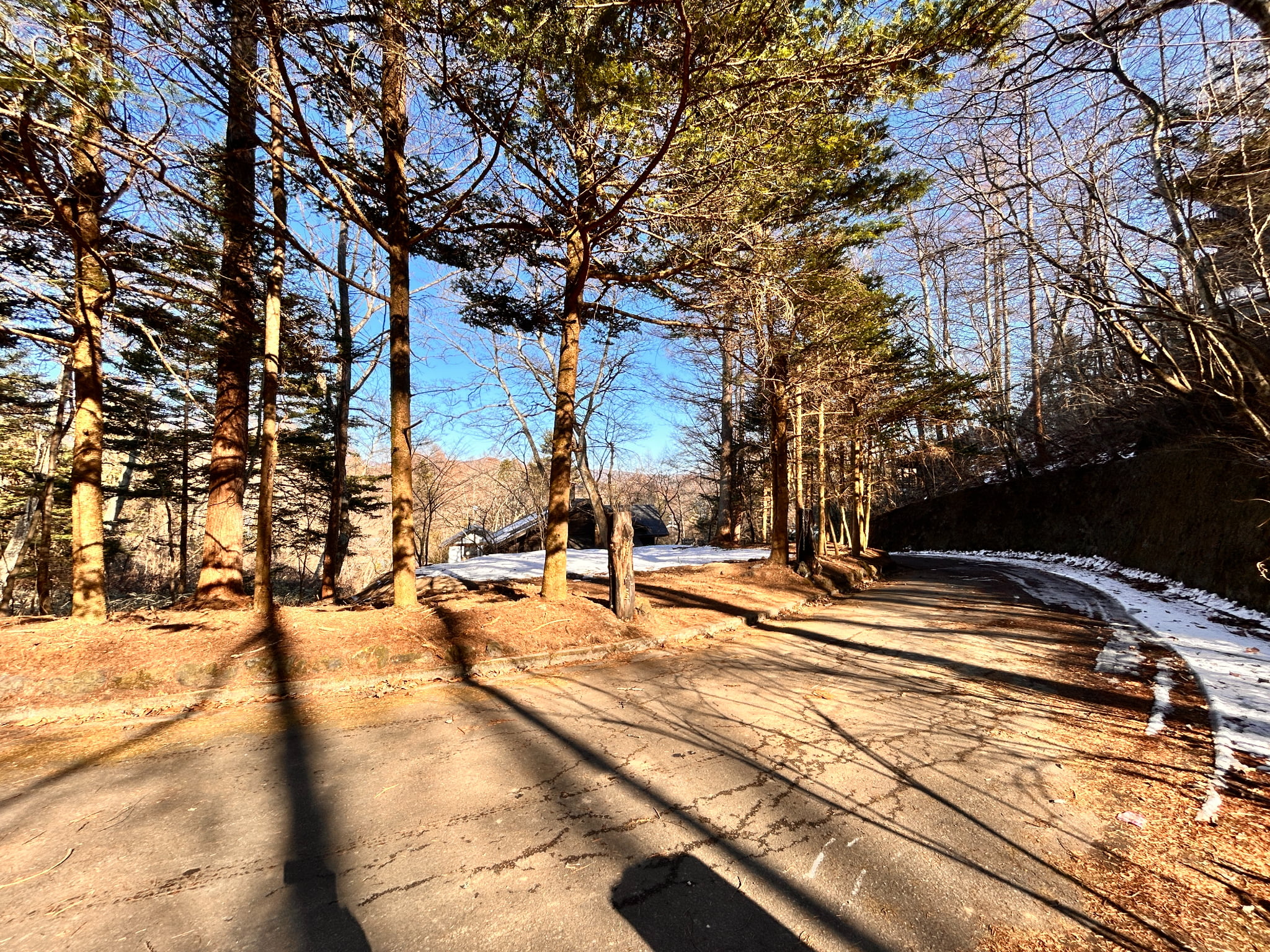 千ヶ滝西区 177坪の土地