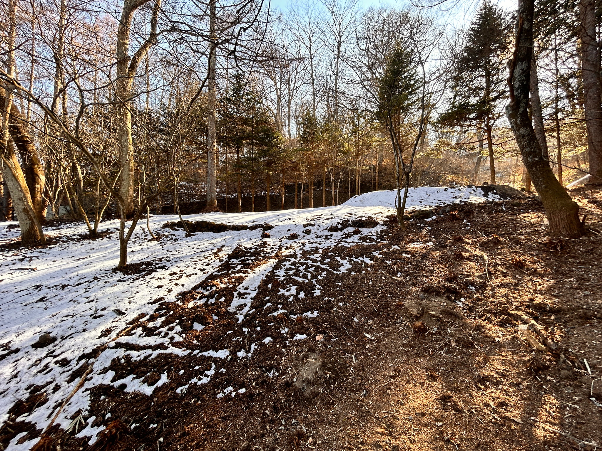千ヶ滝西区 177坪の土地