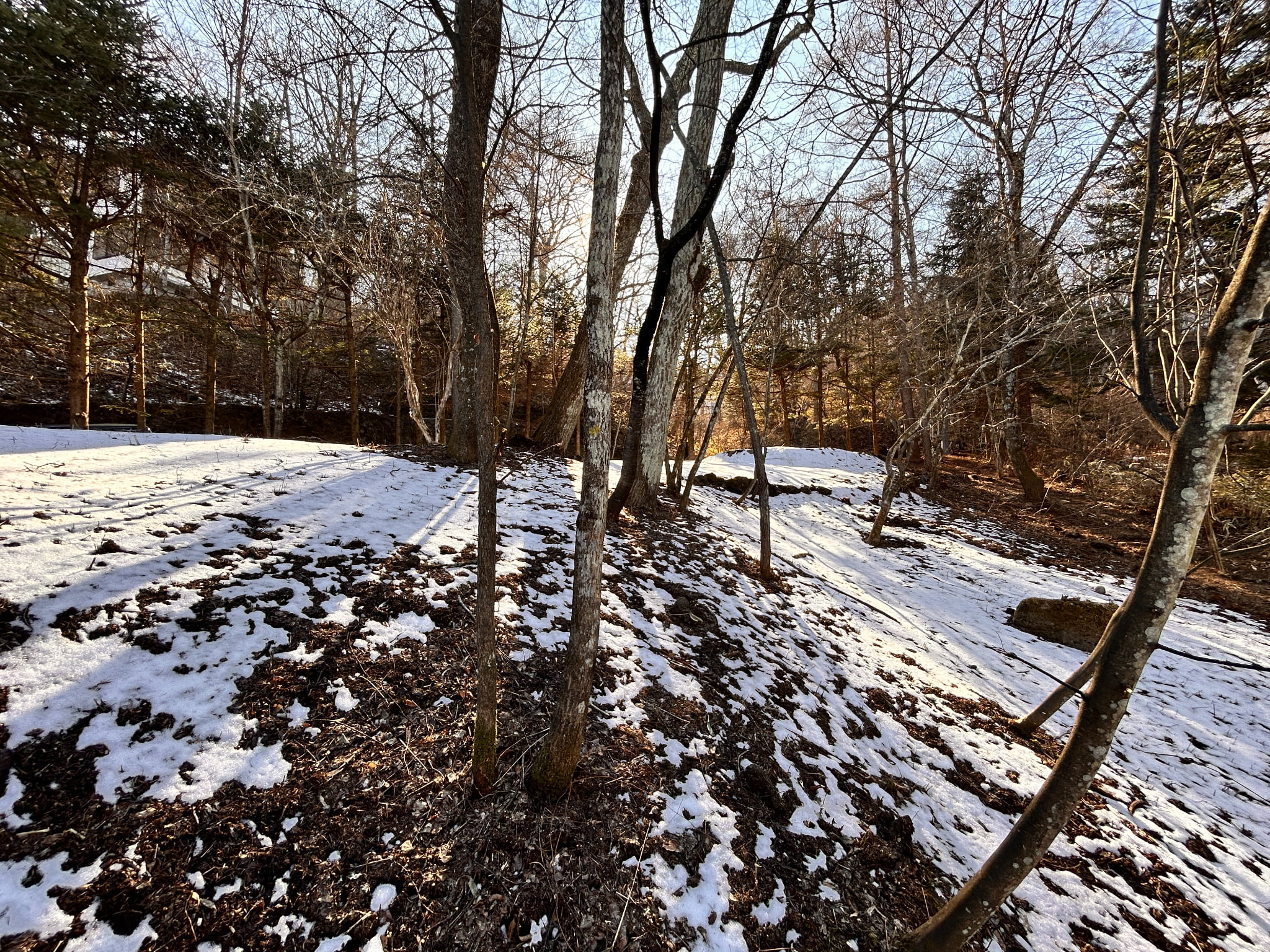 千ヶ滝西区 177坪の土地