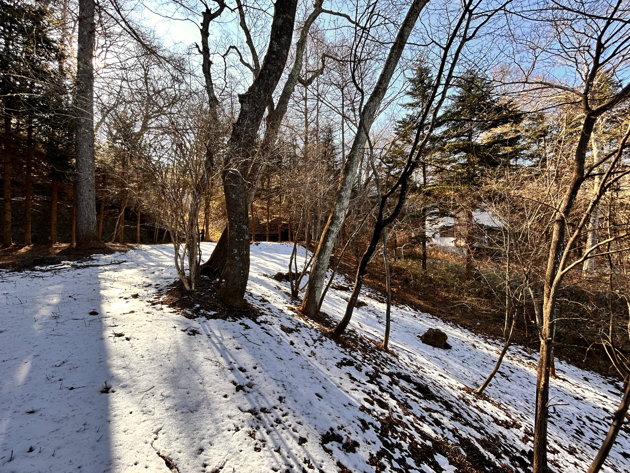 千ヶ滝西区 177坪の土地