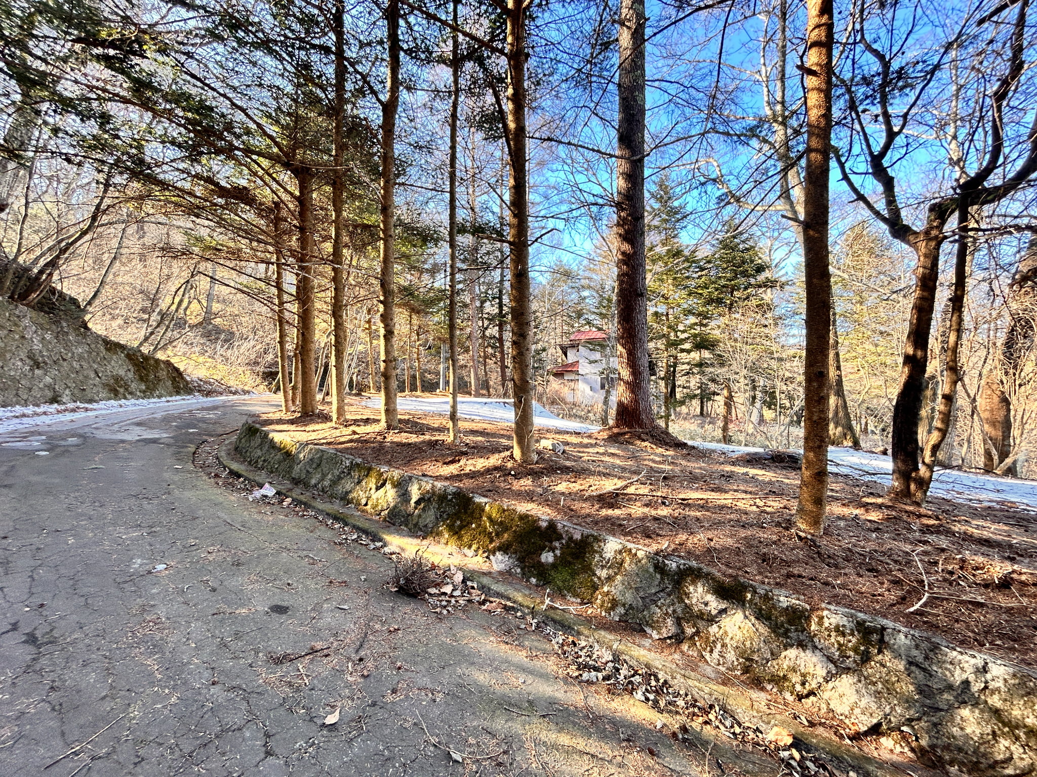 千ヶ滝西区 177坪の土地