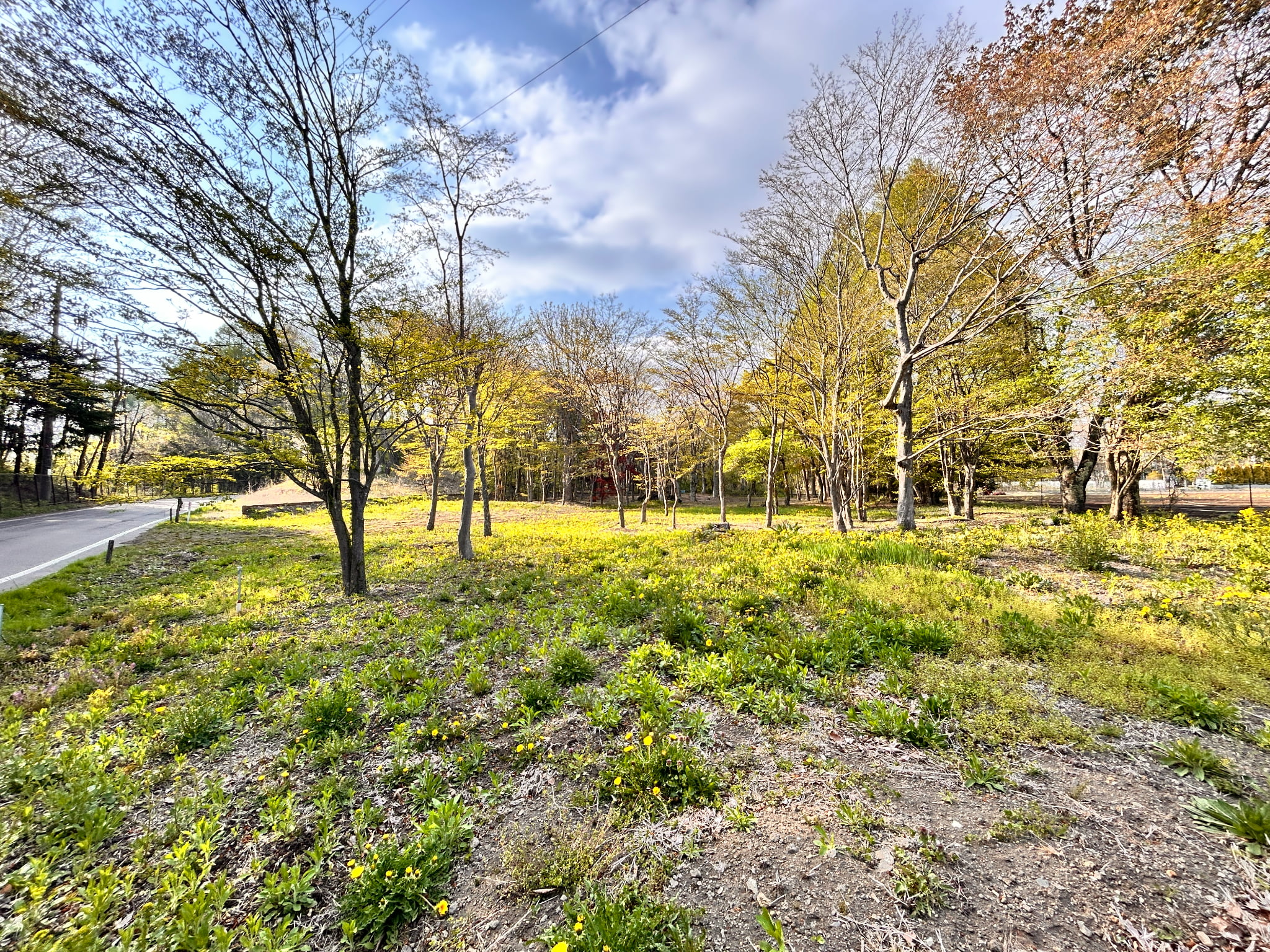 中軽井沢カントリークラブ至近　585坪の土地