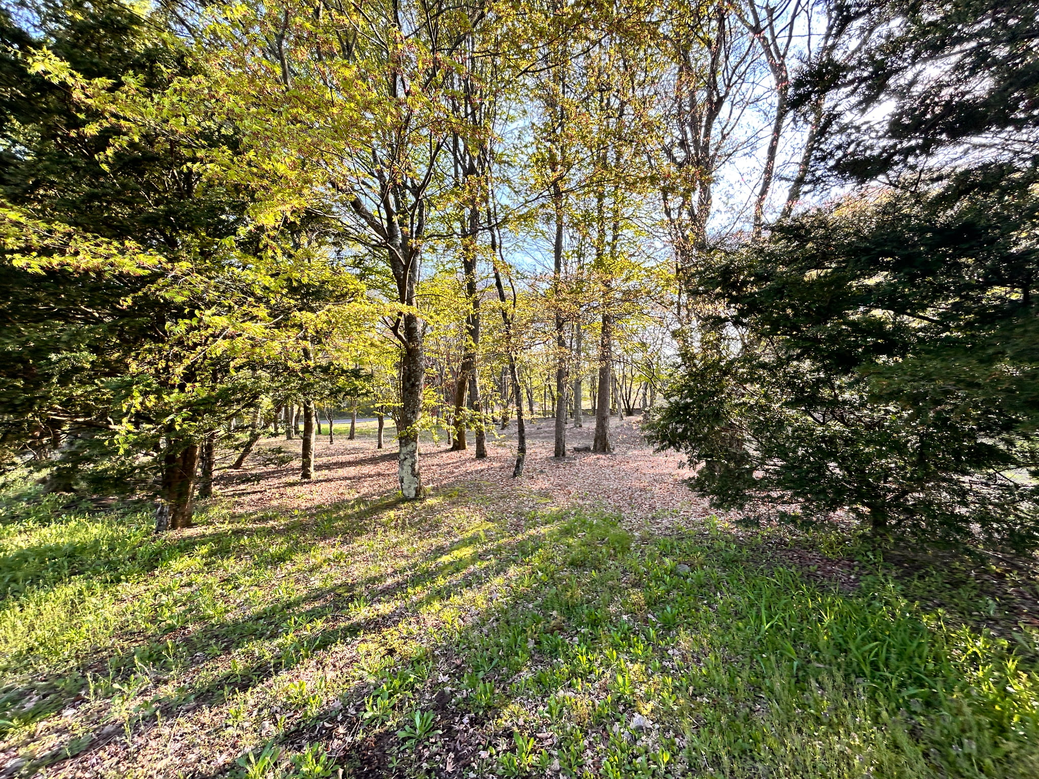 中軽井沢カントリークラブ至近　585坪の土地