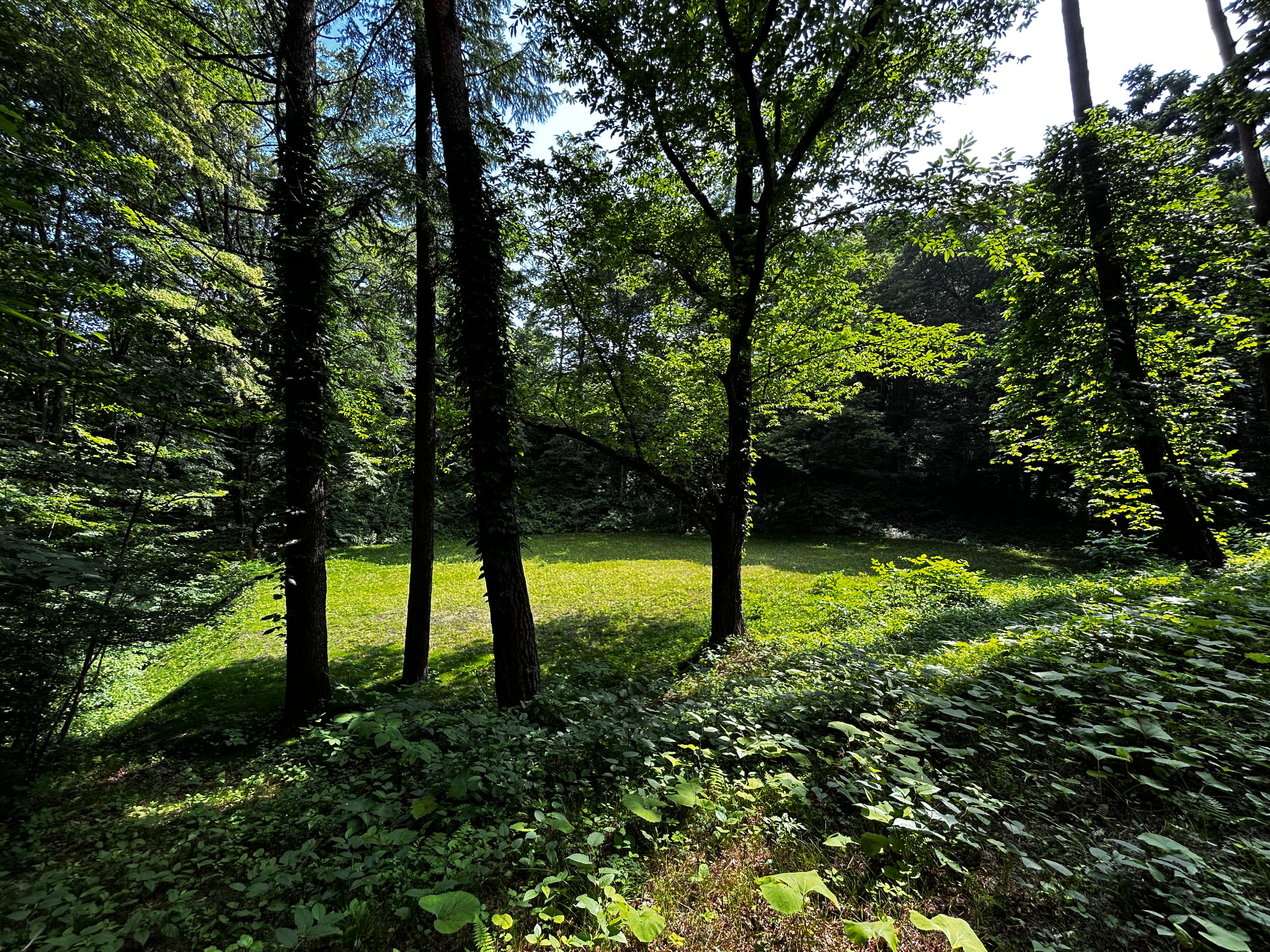 千ヶ滝西区　674坪の整形地