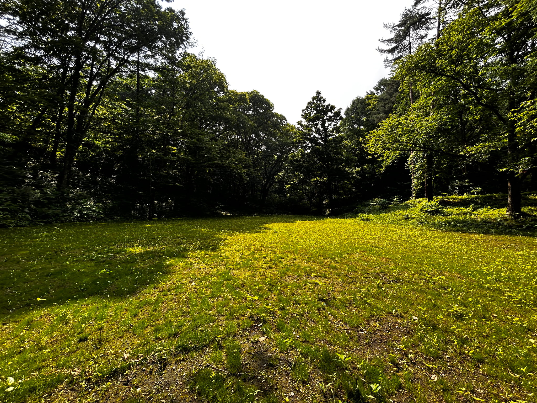 千ヶ滝西区　674坪の整形地