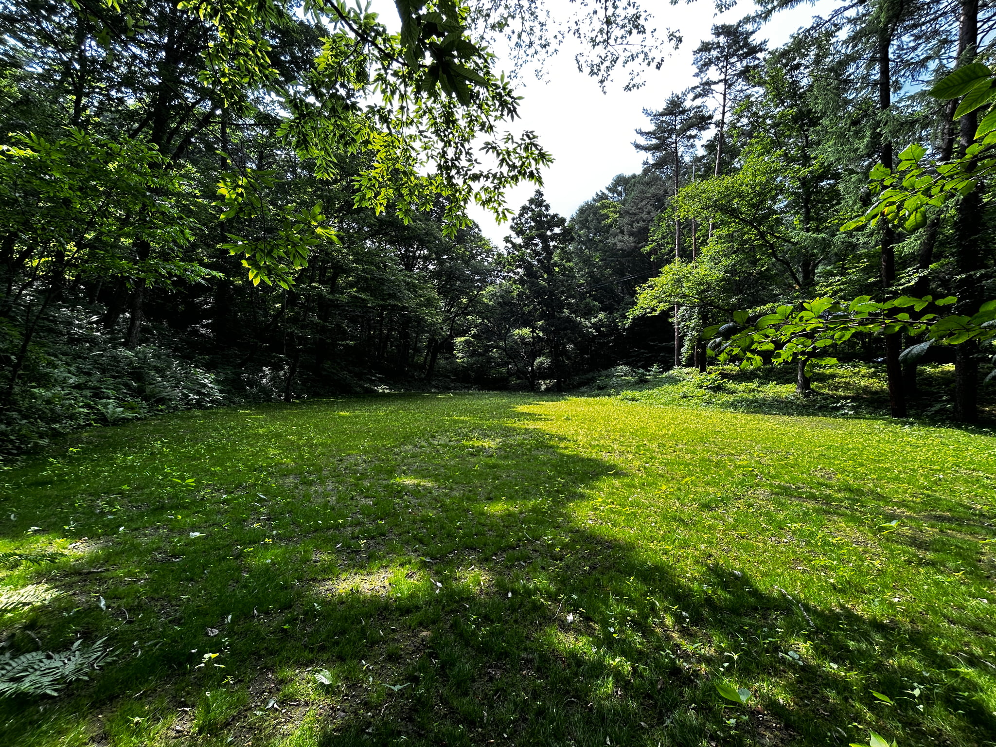 千ヶ滝西区　674坪の整形地