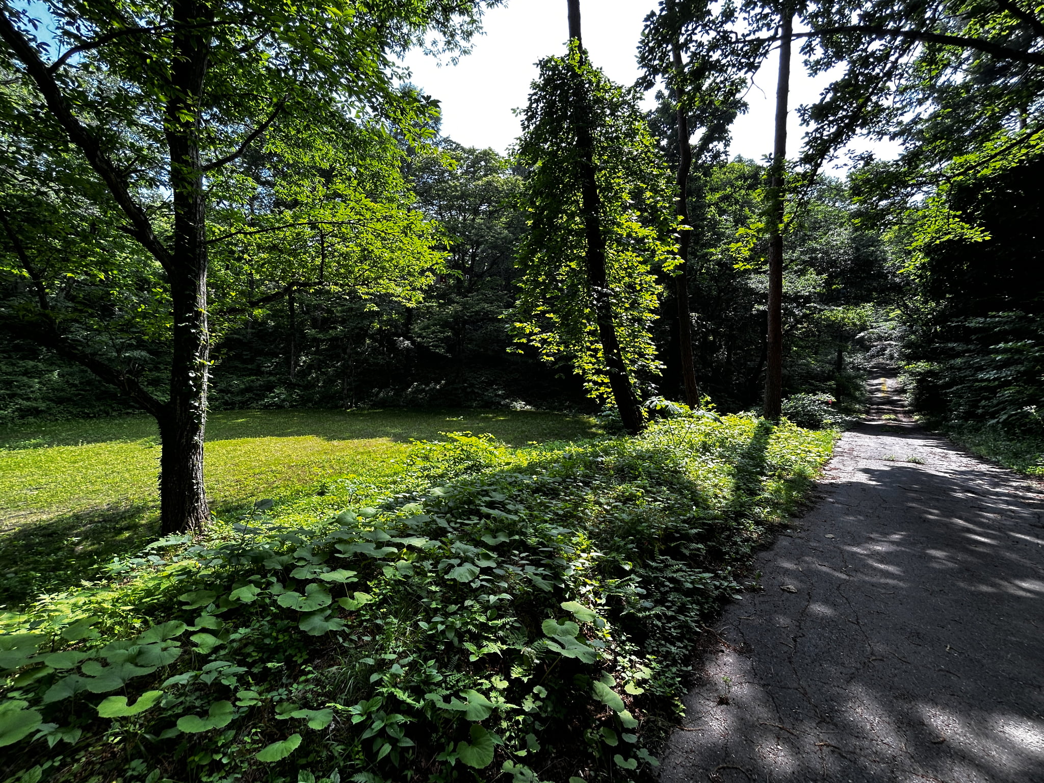 千ヶ滝西区　674坪の整形地