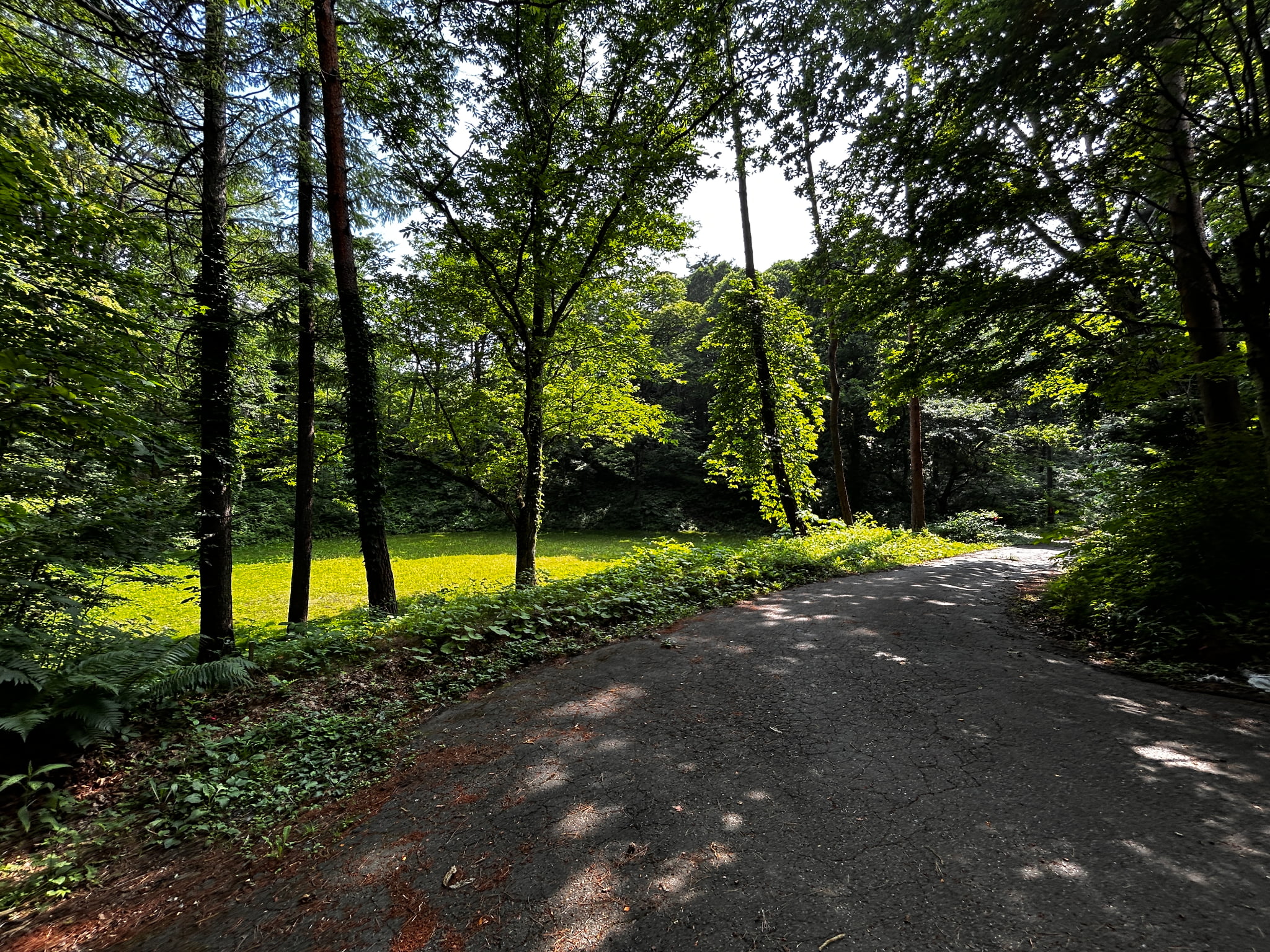 千ヶ滝西区　674坪の整形地