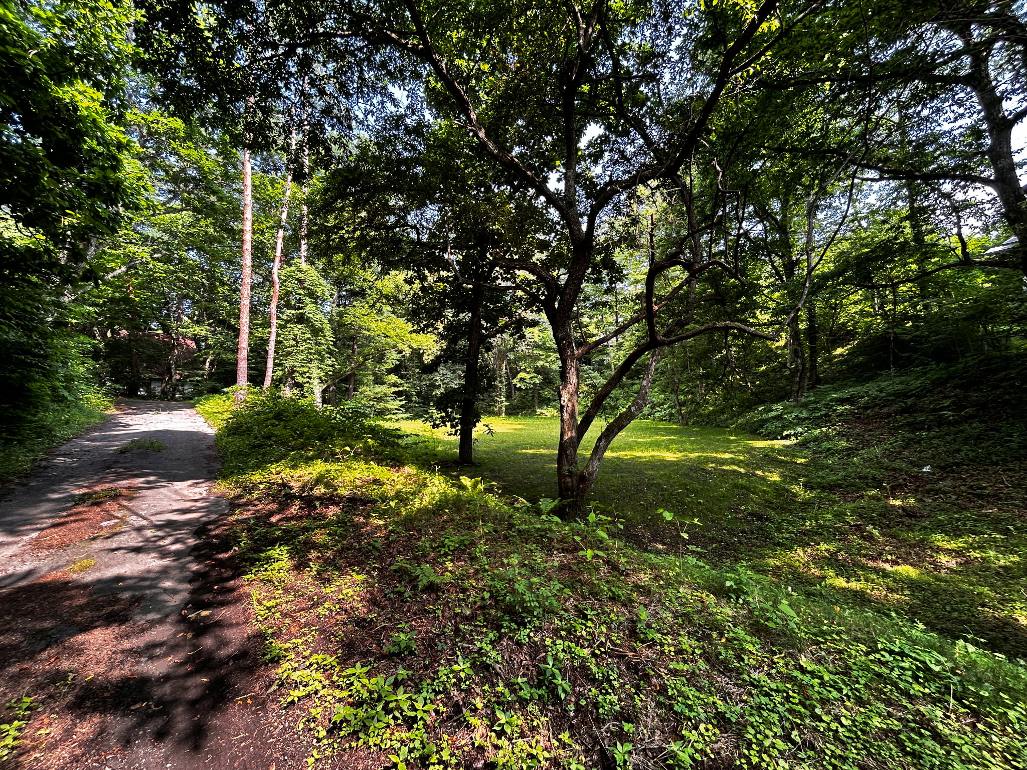千ヶ滝西区　674坪の整形地