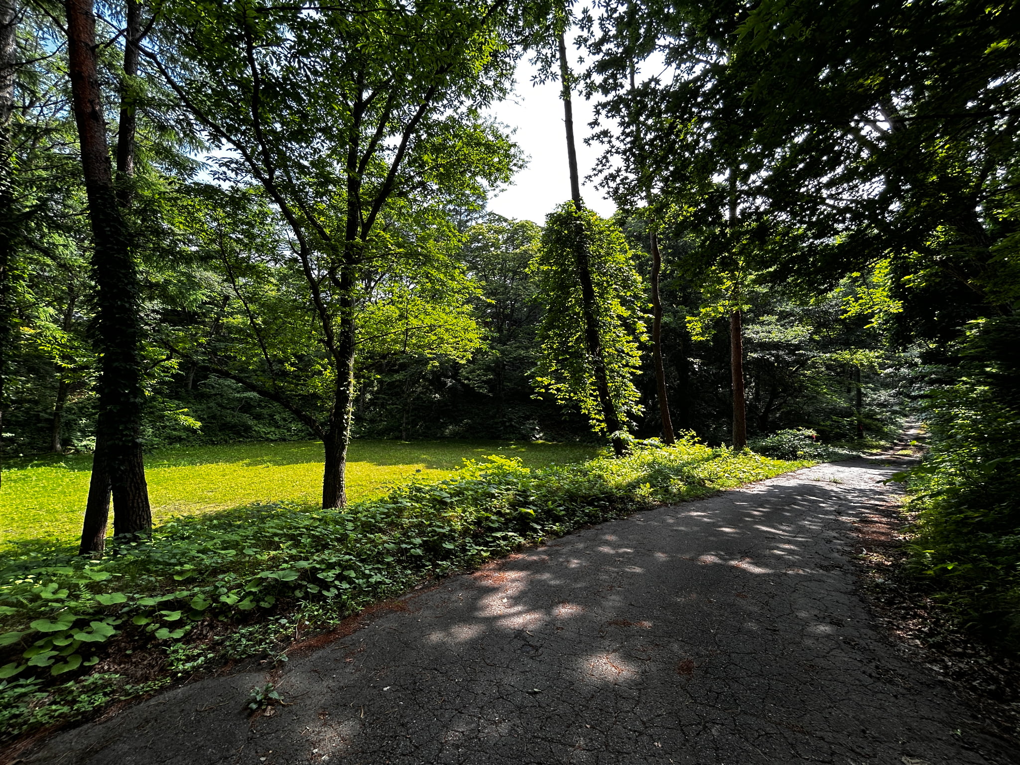 千ヶ滝西区　674坪の整形地