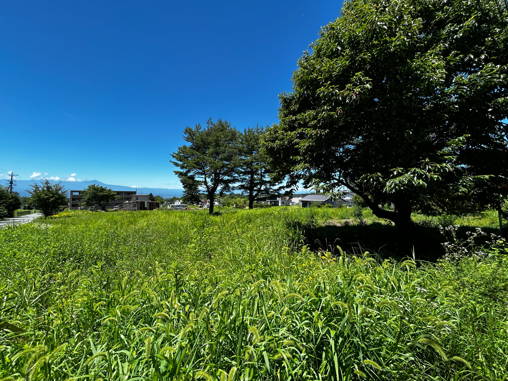 御代田ヴィレッジ 分譲地　76坪〜184坪