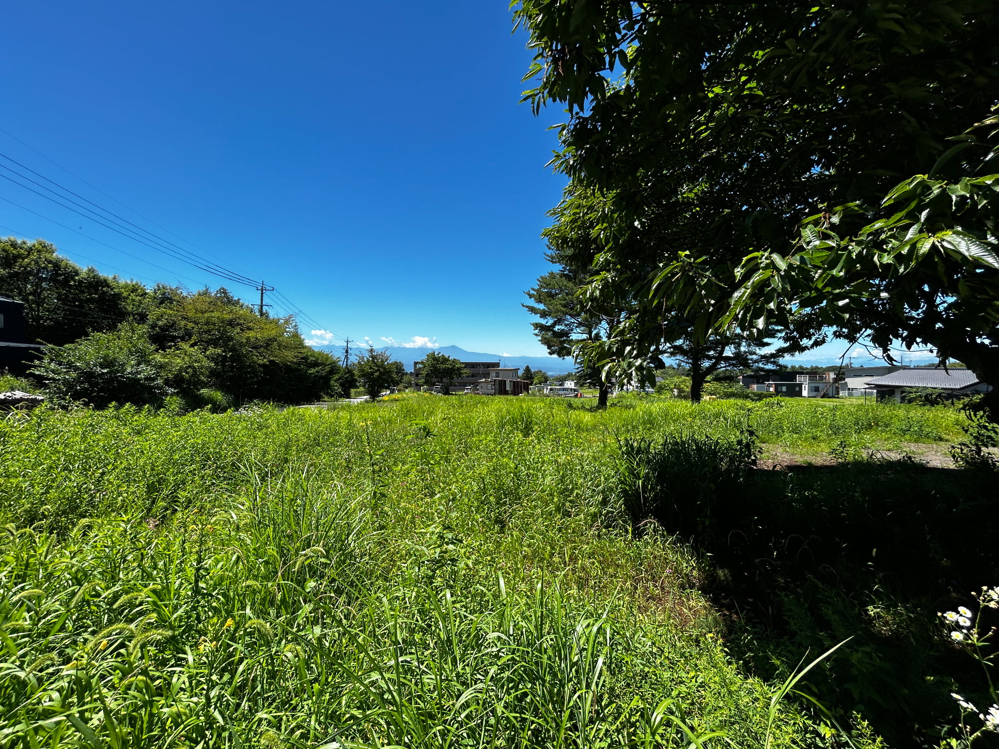 御代田ヴィレッジ 分譲地　76坪〜184坪