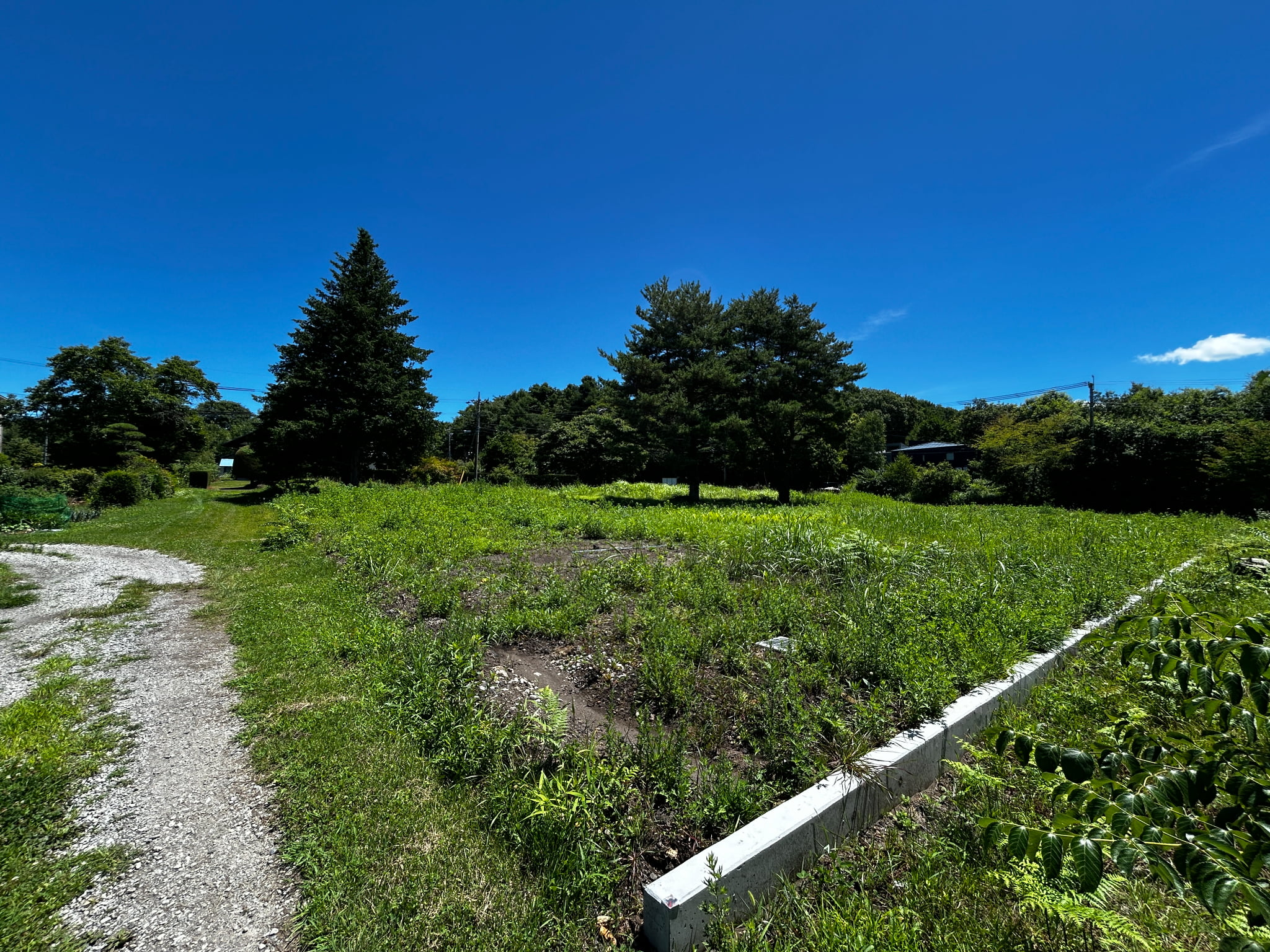 御代田ヴィレッジ 分譲地　76坪〜184坪