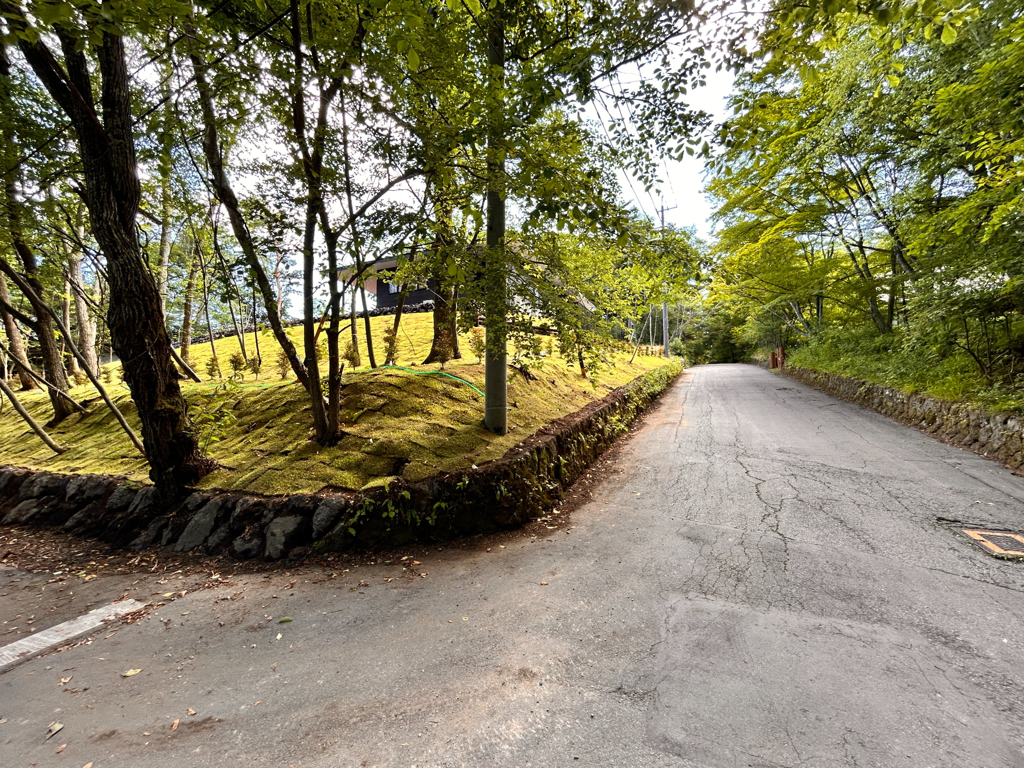 【商談中】新からまつの森 Villa E棟 585坪